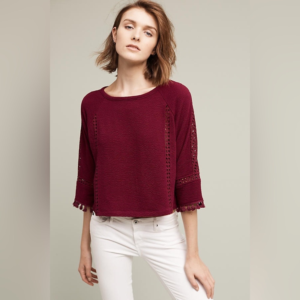 Anthropologie Olanda Tasseled Pullover Cropped Top by Saturday Sunday Size Small